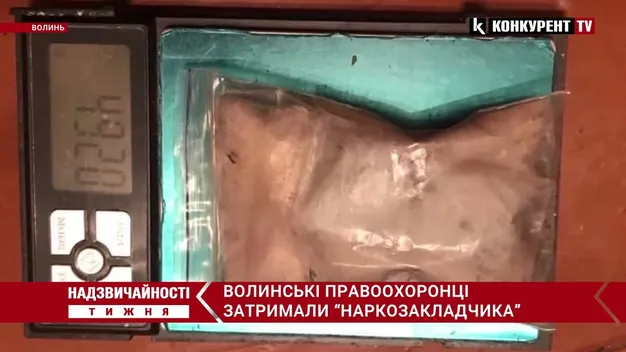 Надзвичайності тижня: зухвалий дрифтер, смертельне падіння та жорстока бійка між школярами (відео)