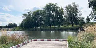 5-кілограмові коропи та спокій: чим приваблює озеро Татарка на Волині (фото)