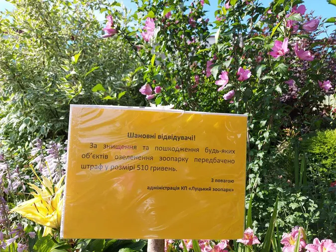 За зірвані гілочки, квіти, щепи в Луцькому зоопарку – штраф