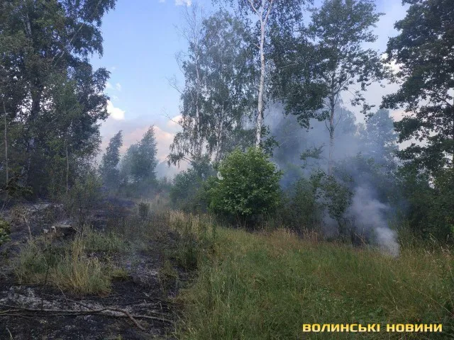 В Озерці – пожежа: зайнявся понад гектар лісу (фото)