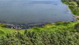 Поліська Амазонія: таємниче волинське озеро показали з висоти (фото)