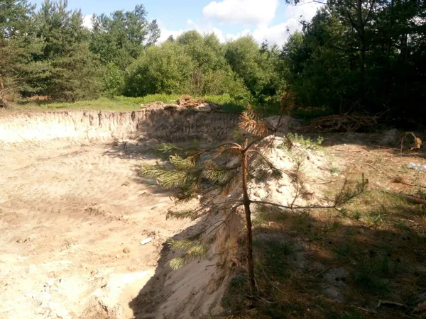 Самовільно добували пісок та різали дерева: на Волині виявили екопорушників (фото, відео)