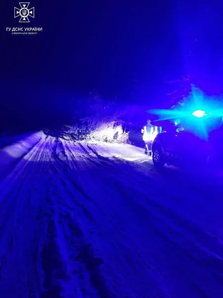 Негода на Волині: рятувальники звільняють дороги від повалених дерев (фото)