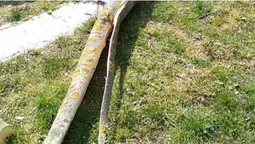 У Луцьку на Потебні незаконно зрізували дерева (фото)