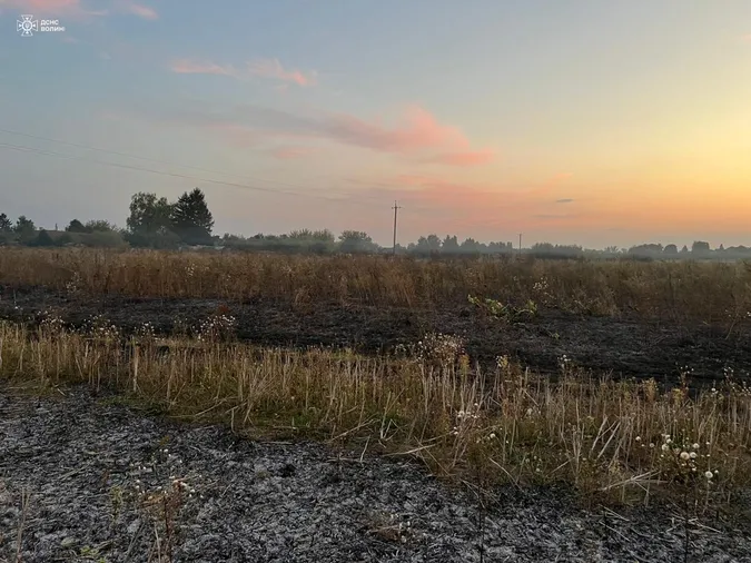 Через необережність з вогнем на Волині сталися п'ять пожеж у полях (фото)
