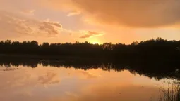На Волині є унікальне крихітне озеро з золотистою водою (фото)