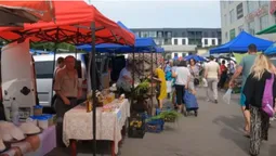 На луцькому ринку біля супермаркету «Торба» почали продавати цілющу ягоду (відео)