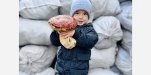 На Волині у жовтні знайшли білого гриба вагою 1,2 кілограма (фото)