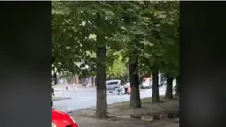 У Луцьку на пішохідному переході збили велосипедиста (відео)