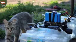 «Князівські» воїни показали свого котовоїна (фото)