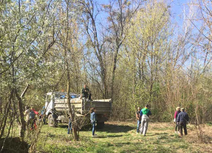 Біля центрального парку Луцька зібрали близько 5 тонн сміття (фото)