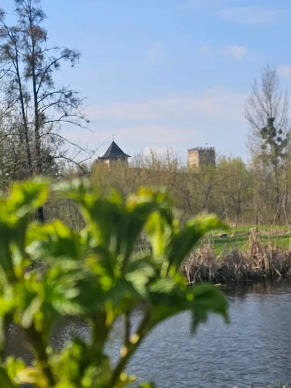Зачаровує красою: у Луцьку парк причепурився тисячами квіток (фото)