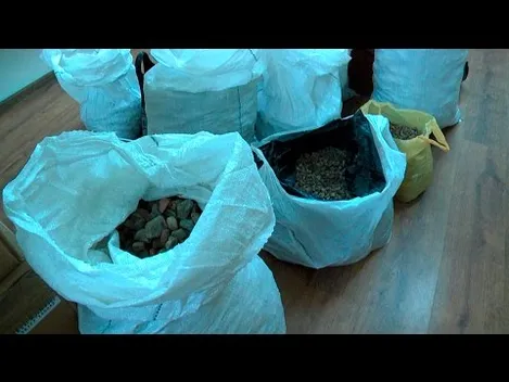 Поліція перекрила незаконний канал збуту бурштину до Китаю