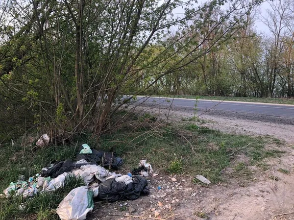 Будівельний непотріб і тушка свині: біля Луцька – звалище сміття (фото)