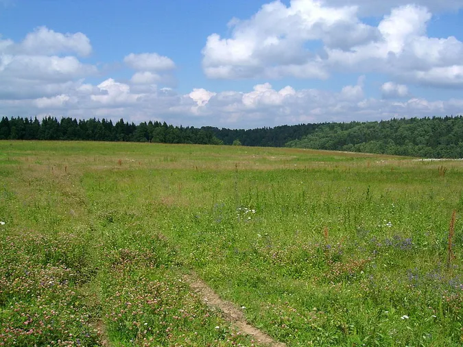 Більш ніж 242 тисячі земельних ділянок на Волині внесли в електронну базу