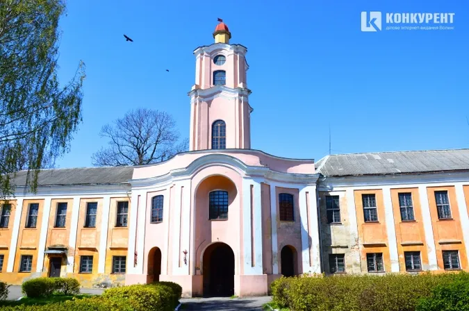Скільки заробила головний лікар психлікарні в Олицькому замку