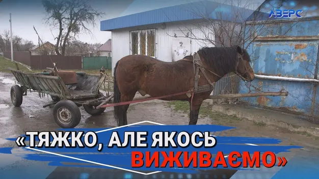 Чоловіків призовного віку майже не залишилося: як виживає село на Волині (відео)
