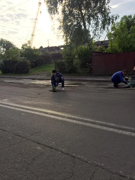 У Луцьку на двох вулицях у вибоїнах посадили квіти (фото, оновлено)