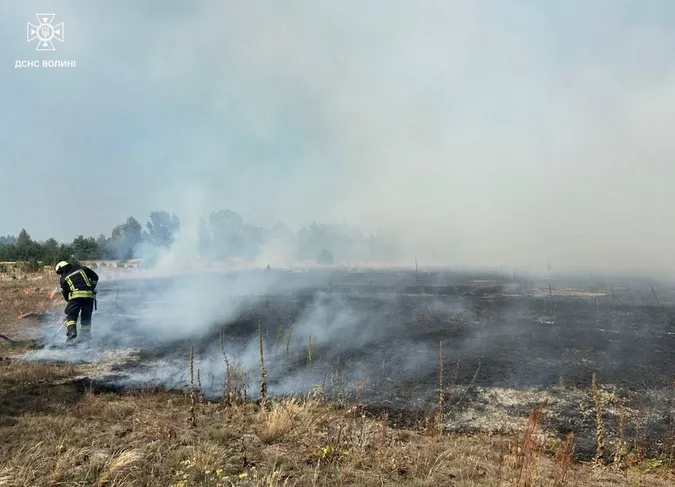 Горіли суха трава, чагарники, торф: на Волині загасили сім пожеж (фото)