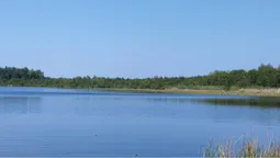 Неглибоке і тепле: де на Волині є озеро з чистою водою (фото)