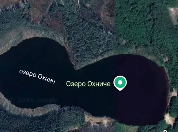 Тут живе лісовий дух Ох: на Волині причаїлося унікальне озеро у формі вісімки (відео)