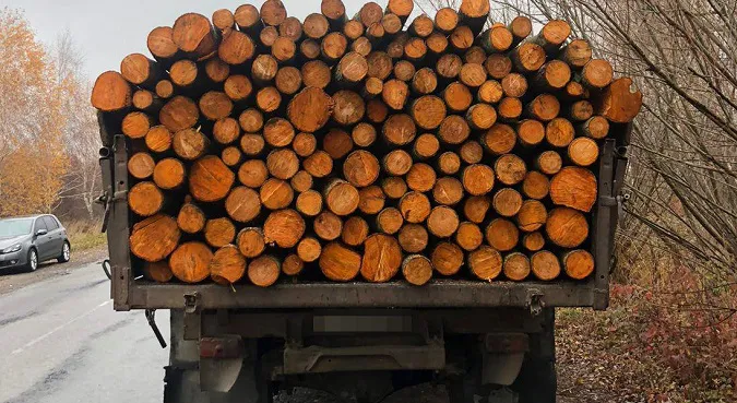 На Волині затримали повну вантажівку кругляка (фото)