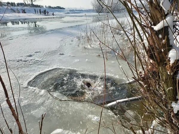 На Стиру в Луцьку освятили воду, люди пірнають в ополонку (фото, відео)