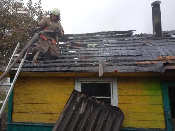 Будинки і господарські будівлі: на Волині загасили шість пожеж (фото)