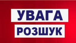 Пішла з дому та не повернулася: на Волині зникла 16-річна дівчина (фото)