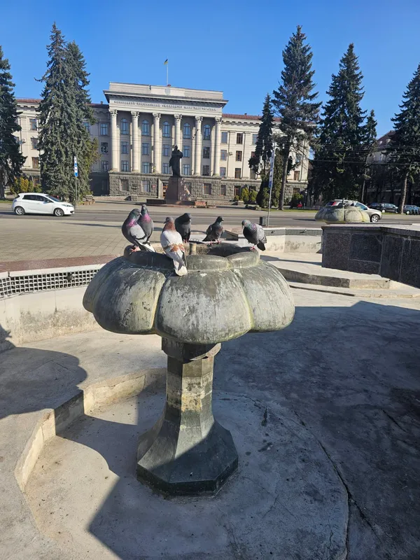 Пригріває сонце і цвітуть бруньки: мережу замилували фото весняного Луцька (фото)
