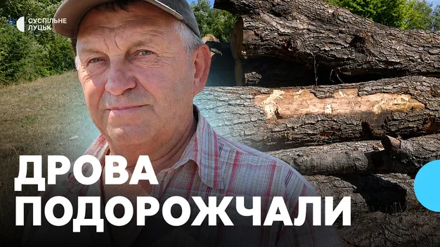 Дуже дорого: скільки коштують дрова на Волині (фото, відео)