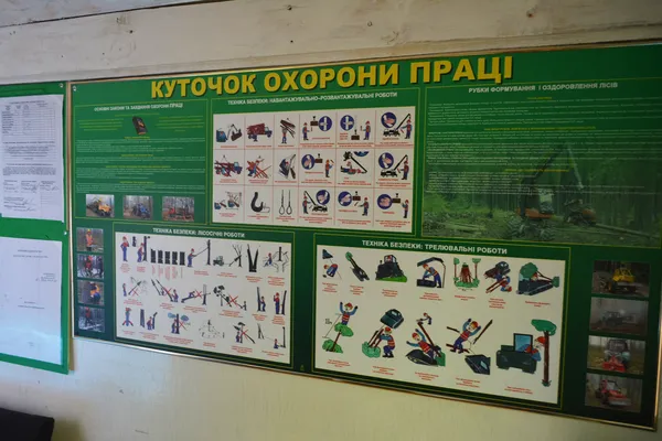 Від сучків до дубових заготовок: як на Волині «пиляють» ліс (ФОТОРЕПОРТАЖ)