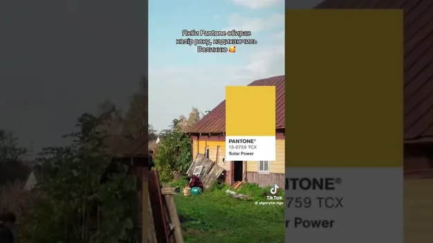 Якби Pantone надихався Волинню (відео)