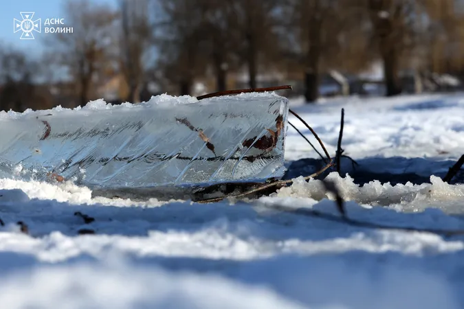 Водолази пірнали під лід на Теремнівських ставках у Луцьку: що шукали (фото)
