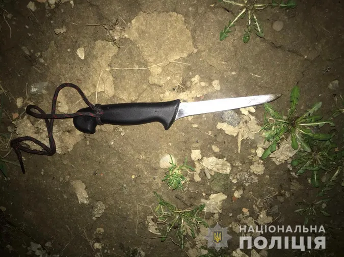 Посадили на вісім з половиною років: волинянин на п'яну голову вбив брата