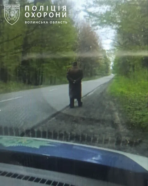 Блукала поблизу лісу: у Ківерцях розшукали зниклу жінку (фото)