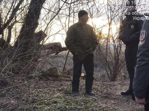 У Луцьку без дозволу зрізали 30 дерев на вулиці Глушець (фото)