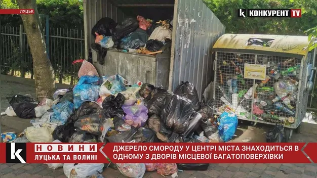 Ще одне джерело смороду: біля будинку у центрі Луцька – гори сміття (відео)