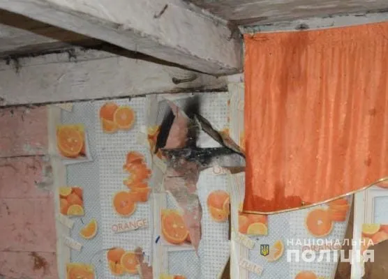Хотіли помститися: на Волині два молодики підпалили сусідці хату (фото)