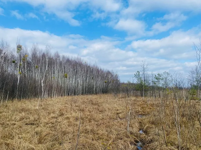 На Волині знайшли унікальну екосистему (фото)