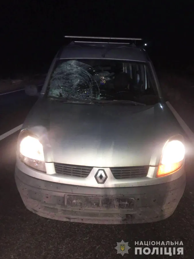 На Волині авто збило п'яного пішохода