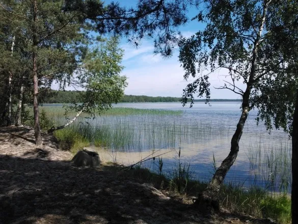 Два озера Волині потрапили у ТОП найкрасивіших в Україні