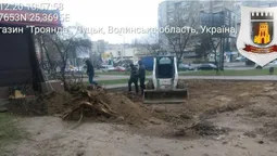 У Луцьку рили землю без дозволів і знищили дерево (фото)