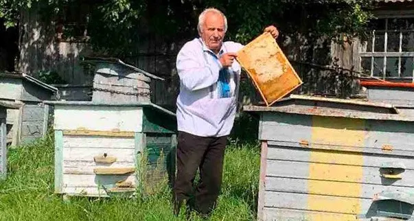 «Буду торішнім смакувати»: волинський пасічник про цьогорічну ситуацію із медозбором