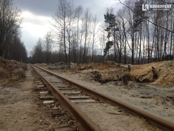 «Бурштиновий клондайк» на Волині: зруйнована залізниця та болотиста пустка замість лісів