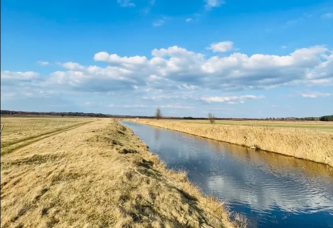 Сніг не врятував: у річках Волині – низький рівень води (фото)