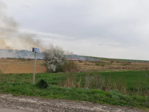 Біля траси «Львів-Луцьк» палає долина (фото)