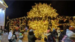 У центрі Маріуполя впала новорічна ялинка (відео)
