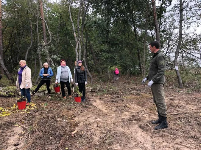 На Волині висадили понад гектар дубів (фото)
