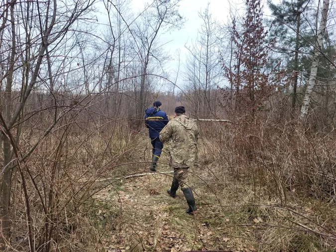 Роботи завтра продовжать: на Камінь-Каширщині тривають пошуки зниклої 17-річної дівчини (фото)